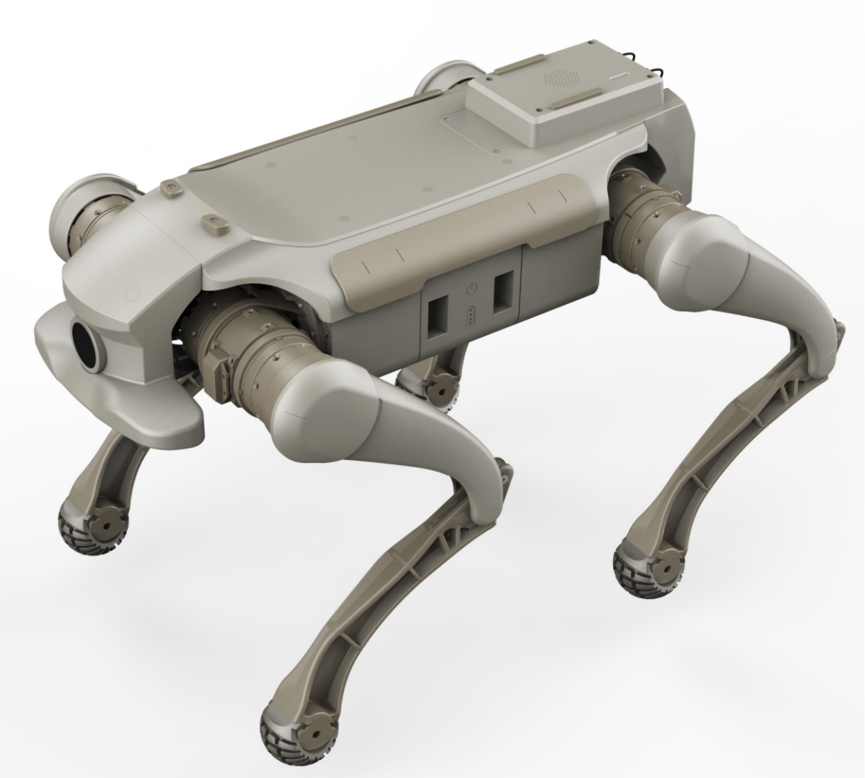 Zerberus Interactive Bionic Quadrupedal Robot