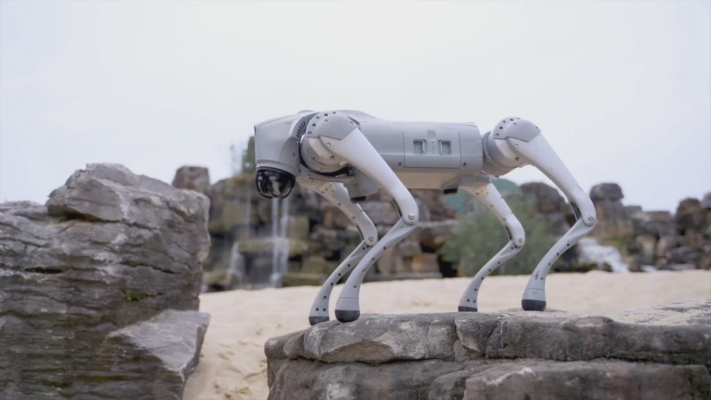 Zerberus Interactive Bionic Quadrupedal Robot