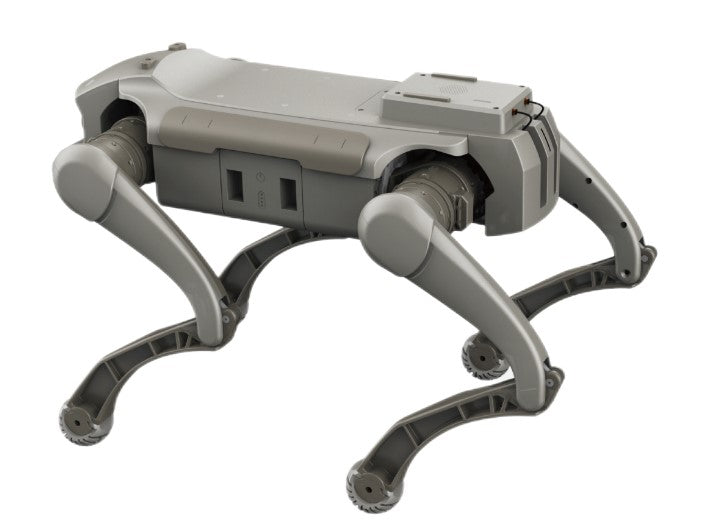 Zerberus Interactive Bionic Quadrupedal Robot