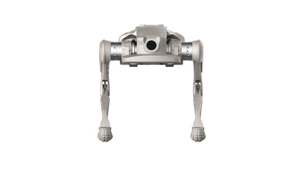 Zerberus Interactive Bionic Quadrupedal Robot