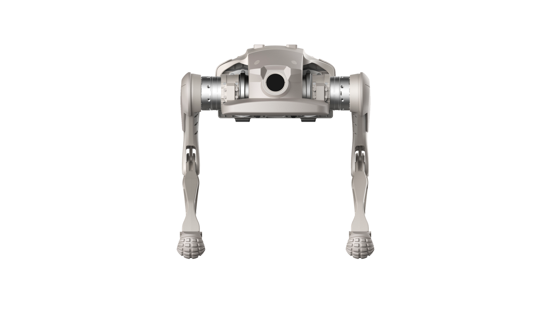 Zerberus Interactive Bionic Quadrupedal Robot